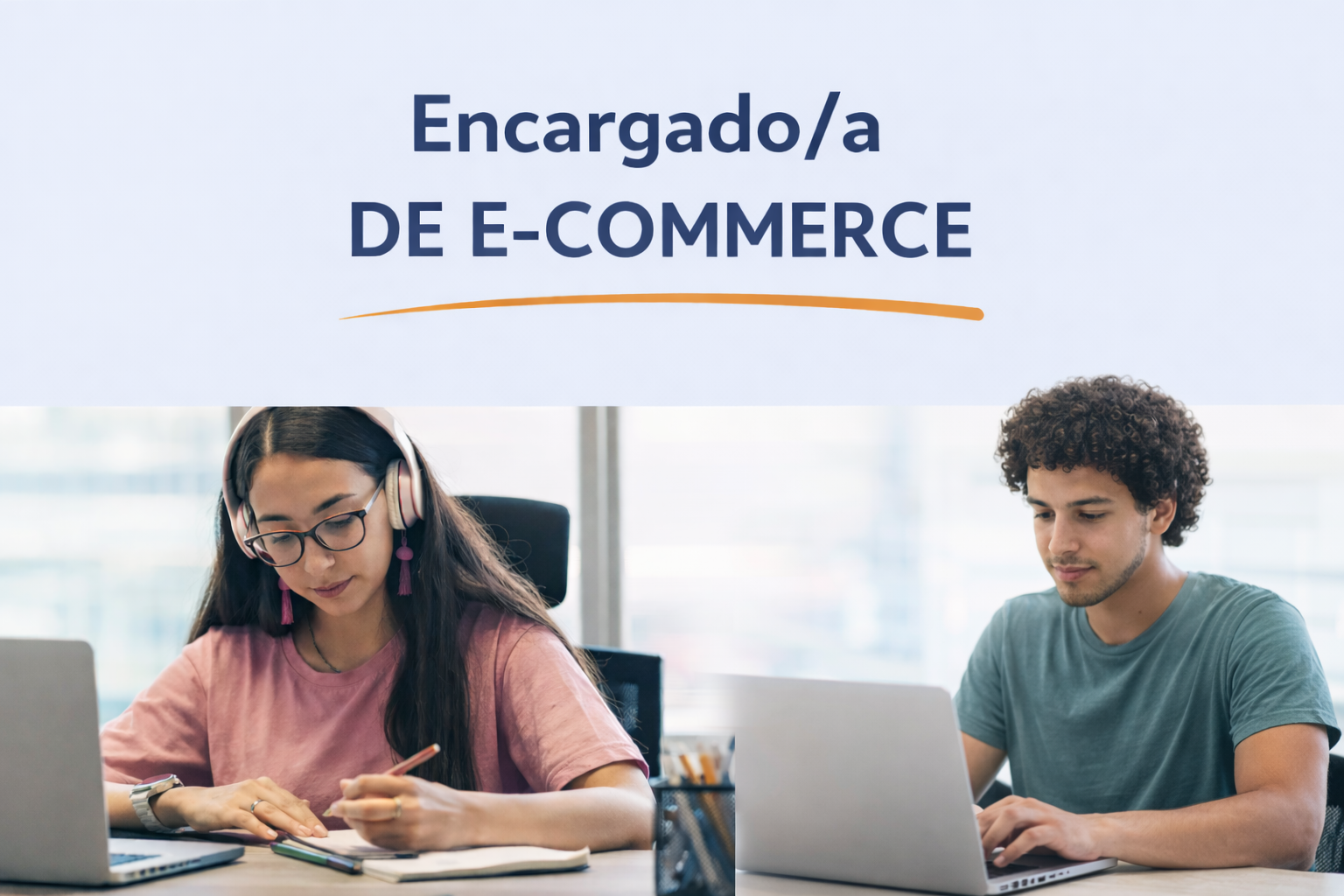 Encargado/a de eCommerce